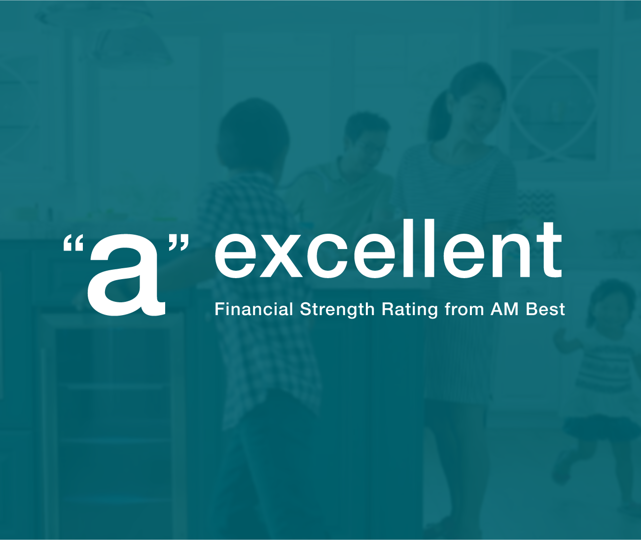 "A" Excellent Financial Strength Rating from AM Best