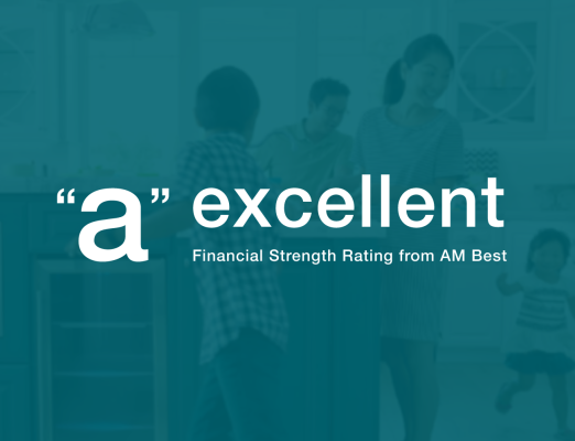 "A" Excellent Financial Strength Rating from AM Best
