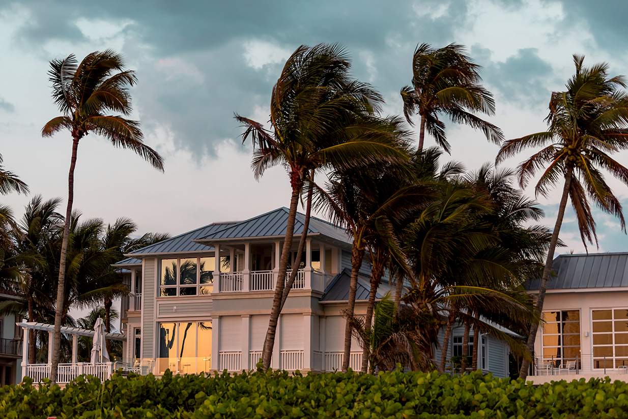 Palm trees blowing in front of waterfront home.